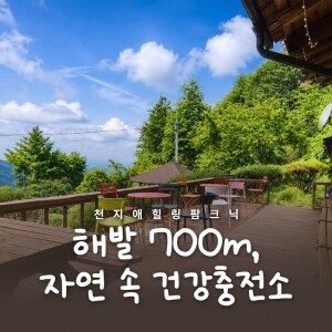 천지애건강충전소/천지애농원 수확체험