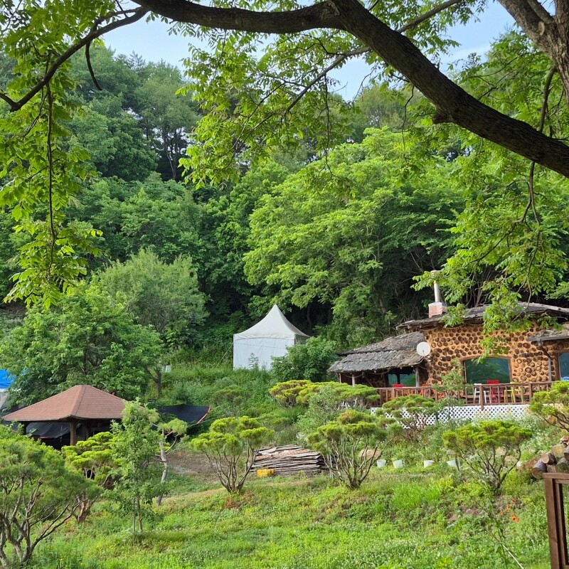 맛있는사과,천지애건강충전소/천지애농원 수확체험